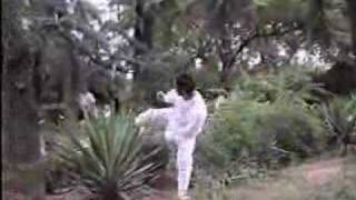 Wudang Kung Fu Flips, Jumps and Flying Kicks! 武当轻功陈师行