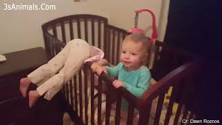 Fun and Fails ! Funniest Sibling Rivalry 🙄 😏 Funny Babies and Pets