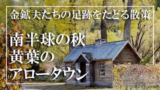 秋のアロータウン散策ツアー【金鉱夫たちの足跡を辿る】中国人居住区・歴史保存地区