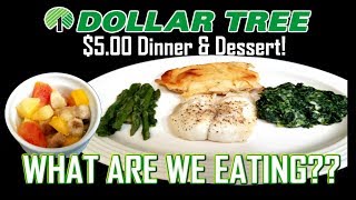 Dollar Tree $5.00 Dinner and Dessert - WHAT ARE WE EATING?? - The Wolfe Pit
