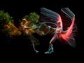 Anyma, Cassian - Save Me (Extended)