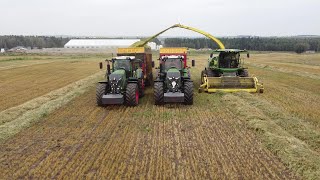 Barley Silage 2023 Alberta Canada | Fendt 930 \u0026 John Deere 8600 | Van Den Boomen Custom Farming