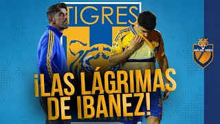 Veljko Paunovic habló sobre las LÁGRIMAS de Nico Ibáñez | Tigres UANL