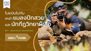 ลัดเลาะราวป่า ท่องหาปีกสวย (ผีเสื้อ1/4) | SEEKATHON - ตามติดนักวิจัย และการเดินทางไกลไม่รู้จบ