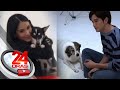 Alden Richards at Heart Evangelista, kabilang sa “I Love My Aspin” campaign ng PAWS | 24 Oras