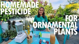 ANG SIKRETONG PAMATAY PESTE SA HALAMAN | HOMEMADE PESTICIDE para sa ORNAMENTAL PLANTS Tutorial