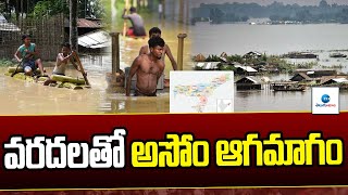 వరదలతో అసోం ఆగమాగం | Heavy Floods In Assam | Assam Flood 2023 | Zee Telugu News