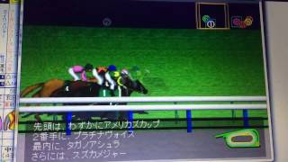 競馬予想 きさらぎ賞2017 レースシュミレーション