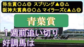 青葉賞2023　1週前追い切り