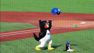 今年初の空中くるりんぱ！成功なるか、つば九郎！2024/03/16 オープン戦 東京ヤクルトスワローズ