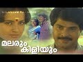 Malarum KIliyum Malayalam Full Movie | Mammootty | Ambika | Menaka | K Madhu | Mammootty Super Hits
