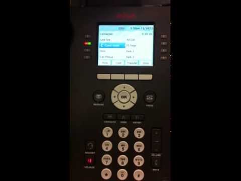 Avaya 9611G Voice Mail Setup Avaya 9611G Voice Mail Setup