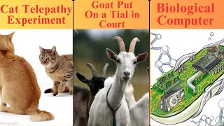 11 Strangest Facts That Will Make You Question Reality!