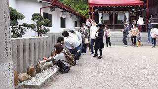 令和3年5月3日の金蛇水神社