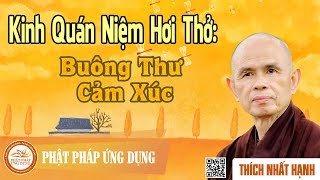 Kinh Quán Niệm Hơi Thở: Buông Thư Cảm Xúc - Thầy Thích Nhất Hạnh thuyết giảng