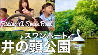 【井の頭公園でボートに乗ろう】Walking around Inokashira Park, Tokyo【シングルマザーの休日】