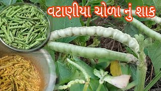 વટાણીયા ચોળા નું શાક||ઘર રસોઈ||Vtaniya chola nu sak||Kathiyavadi special sak||@Vanabhai.Chauhan