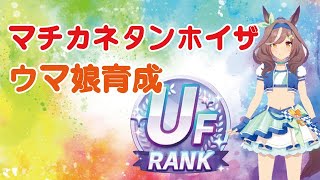 長距離中距離適正ついたのに下ぶれた・・・UFランク育成！ マチカネタンホイザ育成 3女神育成 ウマ娘 #グランドライブ #ウマ娘