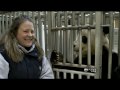 trainer says goodbye to beloved panda