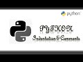 Python indentation and comment lines || learn python programming || 3 minutes master || neverquit