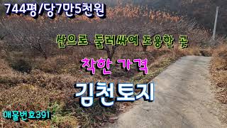 김천토지/산으로 둘러싸여 조용한곳에 가격저렴한 3다랭이 자두밭