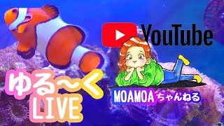 2021アクアライブ4🐠my marine aquarium MOAMOAちゃんねる