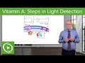 Vitamin A: Steps in Light Detection – Biochemistry | Lecturio