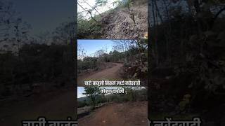 चारी बाजूंनी निसर्ग मध्ये नवेंद्रवाडी कोकण दापोली #shorts #trending #viralvideo #kokan #dapoli