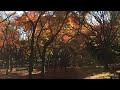 東京・北の丸公園の紅葉