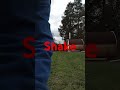 Shake