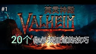 Valheim 《英灵神殿》- 20个技巧，里面肯定有你不会的！【杰克林】