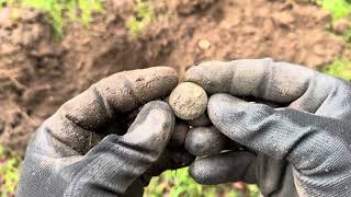 😳 35 coins in 3 hours 😳 minelab Ctx 3030 metal detector smashing it 🔥