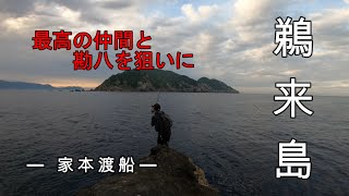 ～93のカンパチが釣れた島にチャレンジ～　#鵜来島#家本渡船#ロックショア