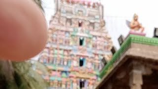 Thirumazhisai Temple Events| Samprokshanam (kumbabhishekham)