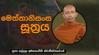 මෙත්තානිසංස සූත්‍රය🙏 | පූජ්‍ය ගල්ලල අමතගවේසි ස්වාමීන්වහන්සේ |IIT #මෙත්තානිසංසසූත්‍රය #meththanisansa