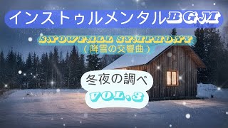 【Snowfall Symphony（降雪の交響曲）】冬夜の調べ - Melody of the Winter Night.3