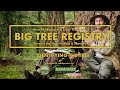 How to measure and enter trees into a Big Tree Registry - Identify the tree