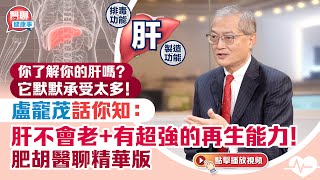 你了解你的肝嗎？它默默承受太多！盧寵茂話你知：肝不會老+有超強的再生能力！｜活體肝移植ALPPS分階段分肝切除術詳解｜肥胡醫聊精華版