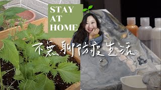 防疫在家不無聊 自己種香草最新鮮 增加居家質感的流動畫/數字油彩 roca art studio