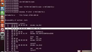 027 helloworld shellcode stack technique
