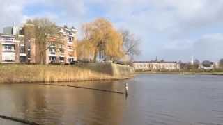 Pontje over de Dommel - Heetmanplein - Bossche broek