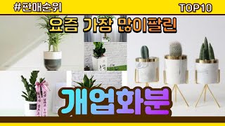 [광고]개업화분 추천 판매순위 Top10 || 가격 평점 후기 비교