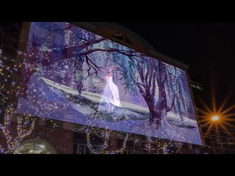Winter's Dance 2017 Winter's Dance 2017