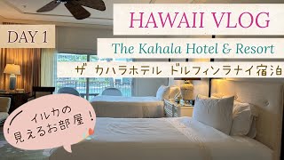 HAWAII VLOG DAY 1. カハラホテル ドルフィンラナイ宿泊！レナーズ、カハラモール、カハラマーケット