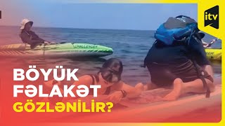 “Zəlzələ xəbərçisi” sayılan kəmər balığı ölü tapılıb