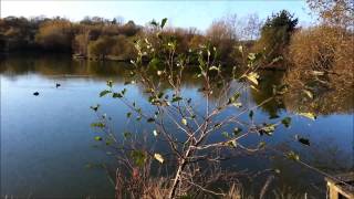 cornish carper episode 5 24hr @ Bake lakes