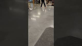 Have you ever seen a dog moonwalk? 🐕 #grocerystore chronicles #funnyvideo #pets #easymeals