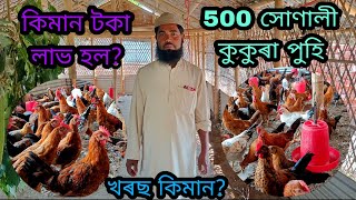 500 সোণালী কুকুৰা পুহি কিমান লাভ হল? Nagaon sonali murgi farm| Assam sonali chicken farm| murgi farm