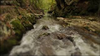 Relaxing Rain & Soothing River Sounds Near a Beautiful Waterfall in the Rocky Mountains - 10 Hours
