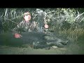 Bowhunting Wild Hogs in Texas W/ Bob Fromme